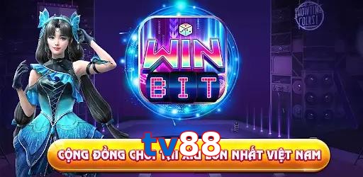 tv88